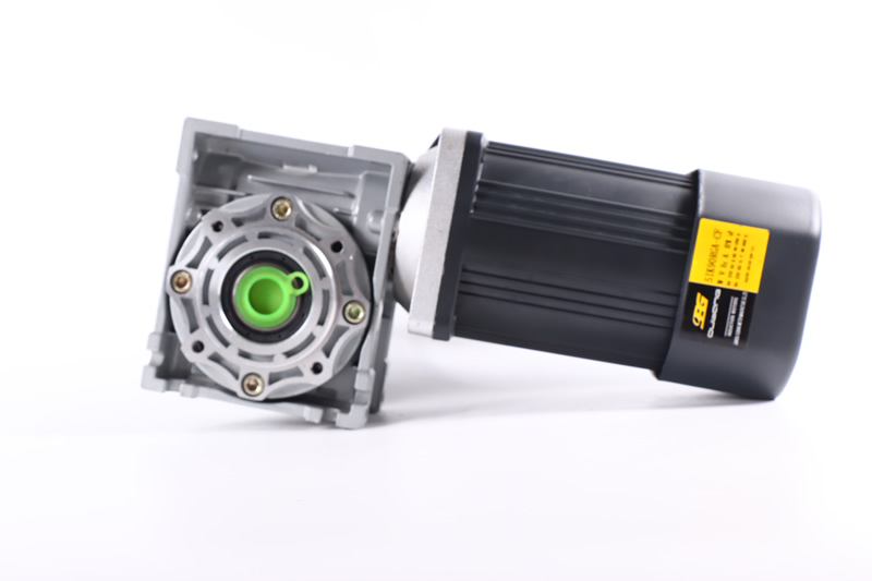 交流电机+蜗轮蜗杆减速机