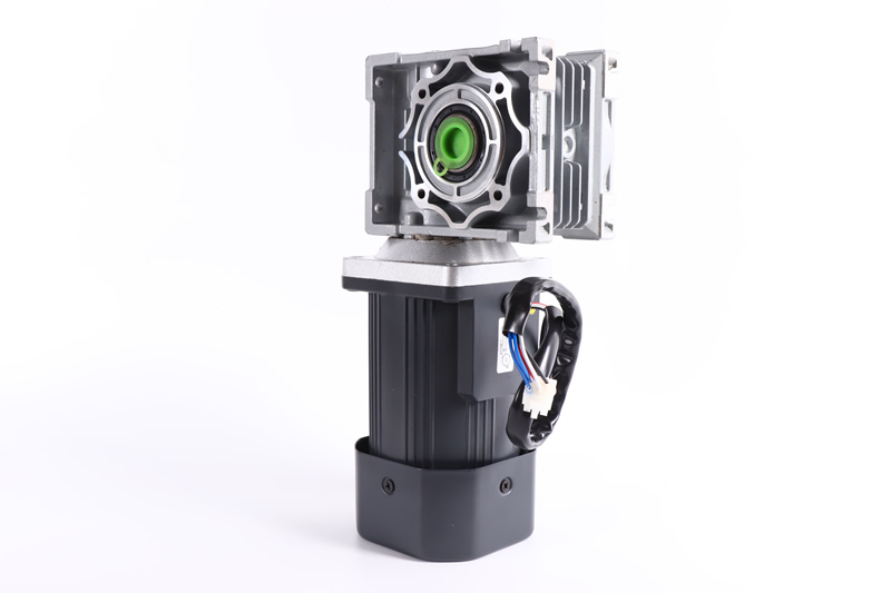 交流电机+蜗轮蜗杆减速机